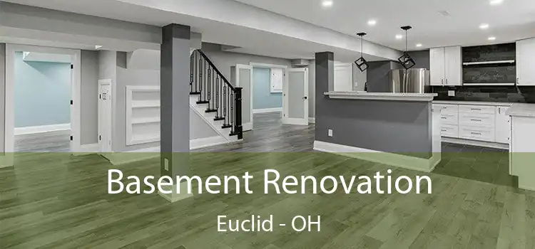 Basement Renovation Euclid - OH