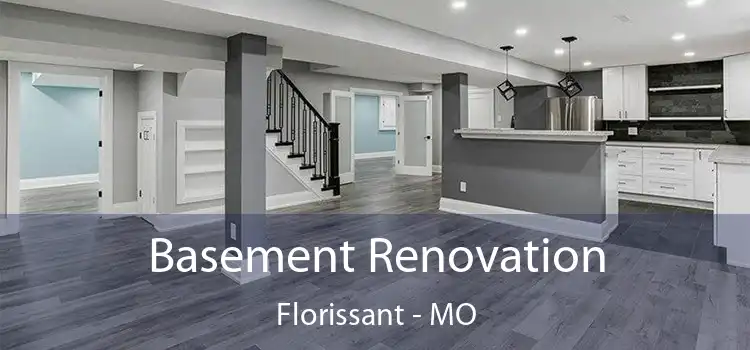  Basement Renovation Florissant - MO