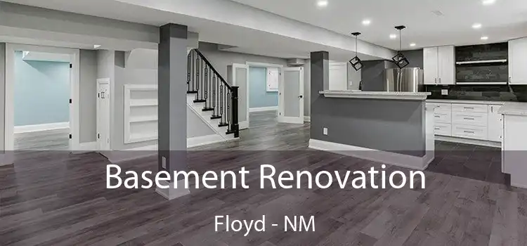 Basement Renovation Floyd - NM