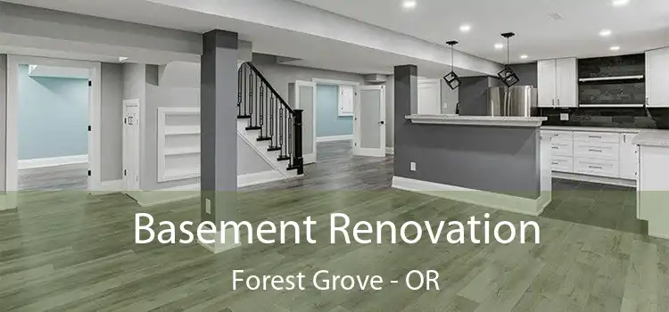  Basement Renovation Forest Grove - OR