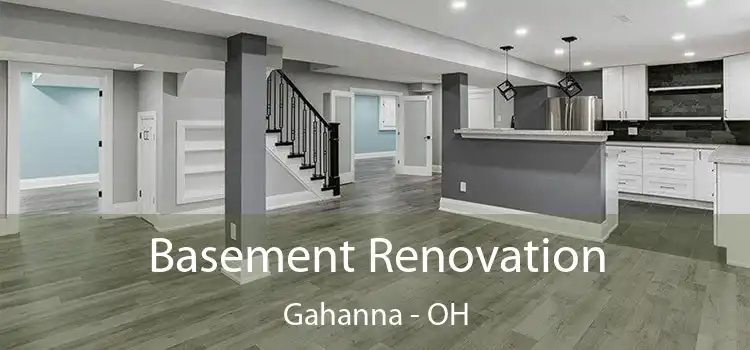  Basement Renovation Gahanna - OH