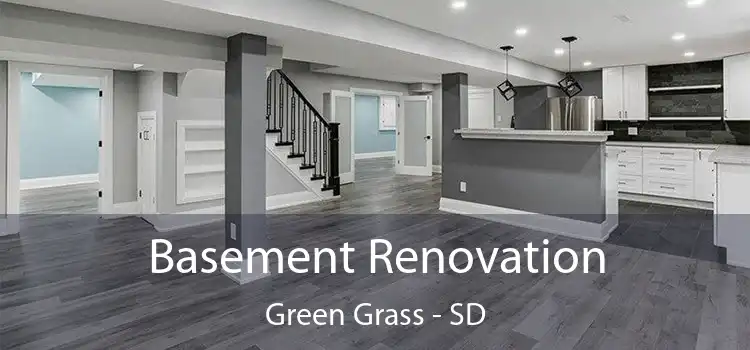 Basement Renovation Green Grass - SD