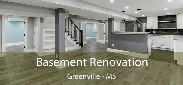  Basement Renovation Greenville - MS