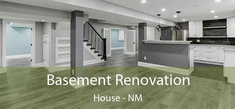 Basement Renovation House - NM