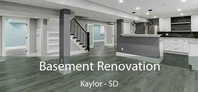 Basement Renovation Kaylor - SD