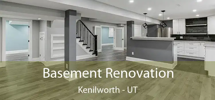 Basement Renovation Kenilworth - UT
