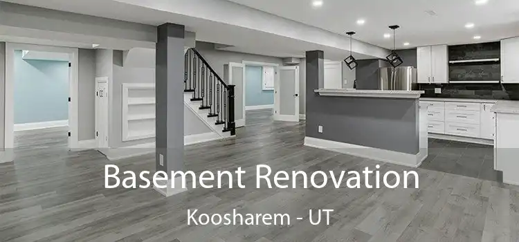 Basement Renovation Koosharem - UT