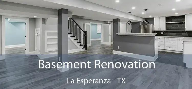Basement Renovation La Esperanza - TX