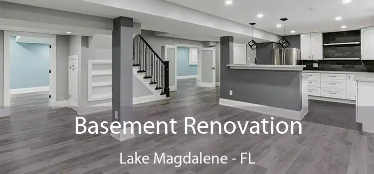 Basement Renovation Lake Magdalene - FL