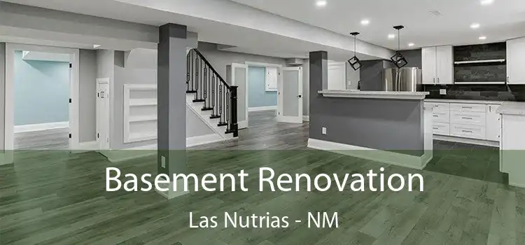 Basement Renovation Las Nutrias - NM