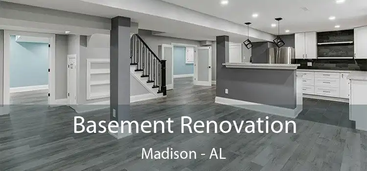 Basement Renovation Madison - AL