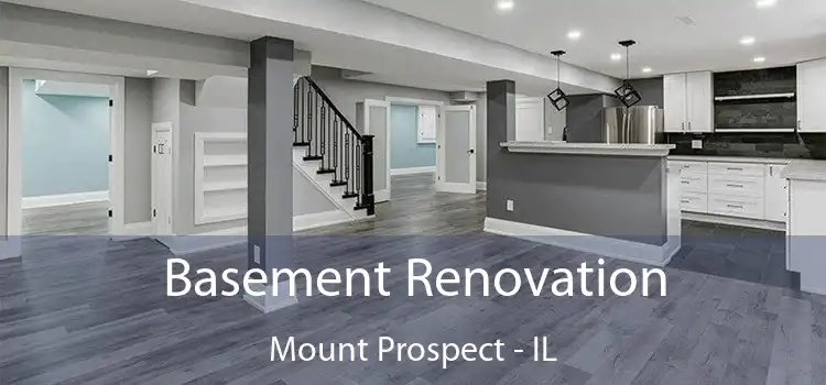 Basement Renovation Mount Prospect - IL