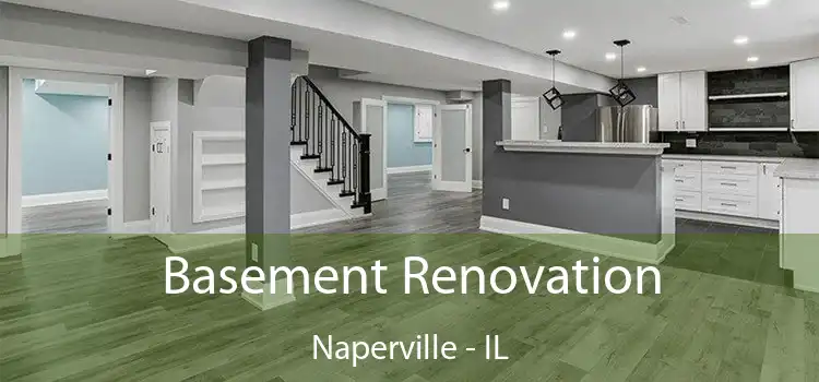 Basement Renovation Naperville - IL