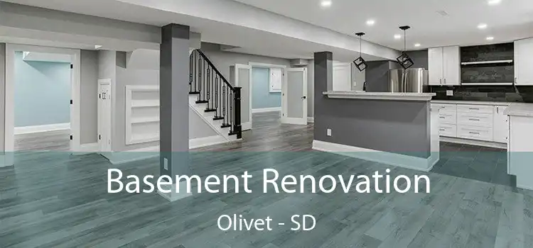 Basement Renovation Olivet - SD