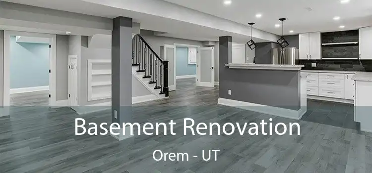  Basement Renovation Orem - UT