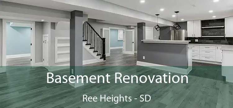 Basement Renovation Ree Heights - SD