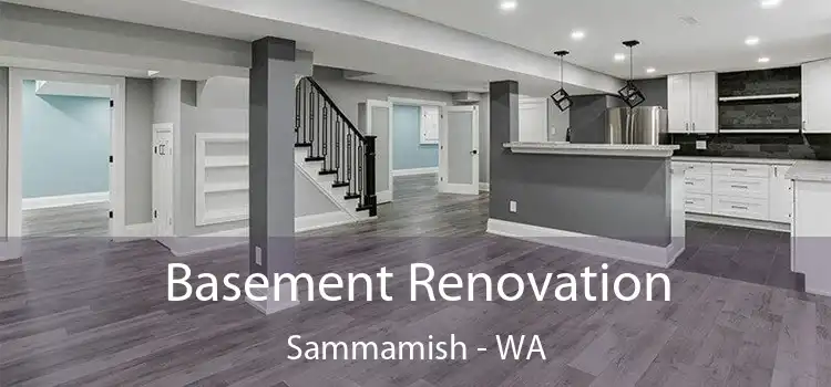  Basement Renovation Sammamish - WA