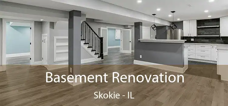  Basement Renovation Skokie - IL