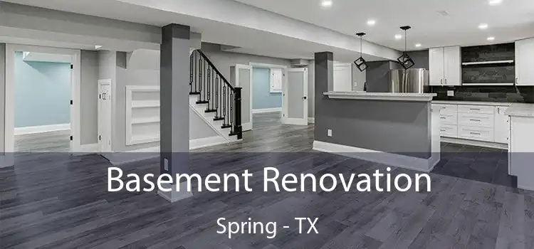  Basement Renovation Spring - TX