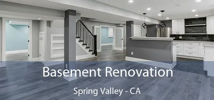 Basement Renovation Spring Valley - CA