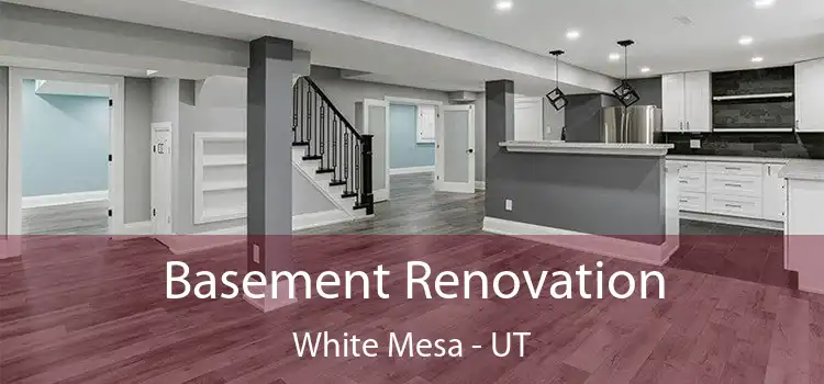 Basement Renovation White Mesa - UT