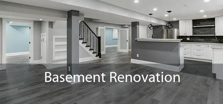  Basement Renovation 